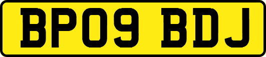 BP09BDJ