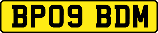 BP09BDM