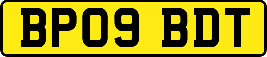 BP09BDT