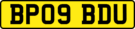 BP09BDU