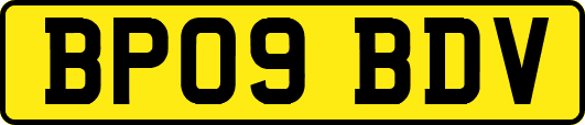 BP09BDV