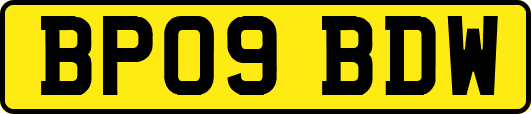 BP09BDW