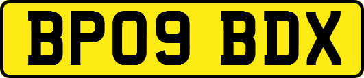 BP09BDX