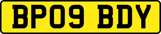 BP09BDY