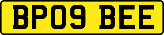 BP09BEE