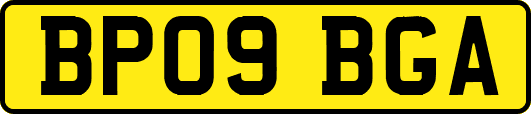 BP09BGA