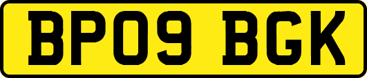 BP09BGK