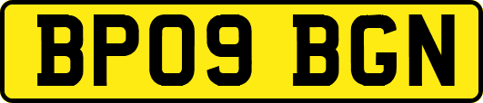 BP09BGN