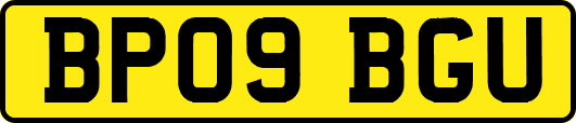 BP09BGU