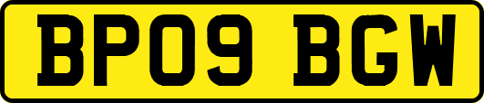 BP09BGW