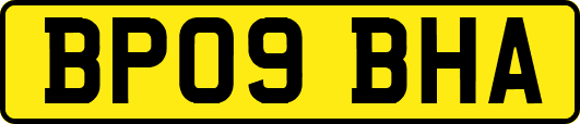 BP09BHA