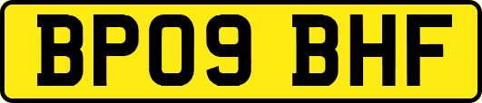 BP09BHF