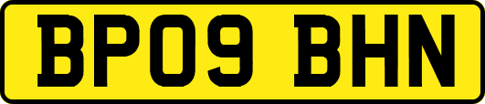 BP09BHN