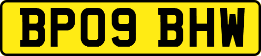 BP09BHW