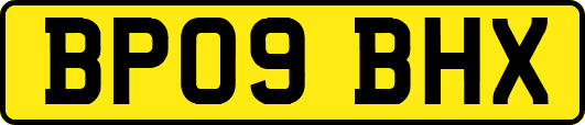 BP09BHX
