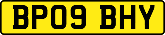 BP09BHY