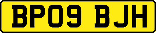 BP09BJH