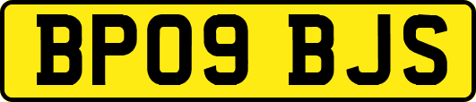 BP09BJS