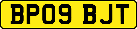 BP09BJT
