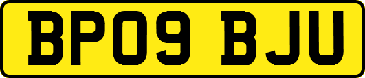 BP09BJU