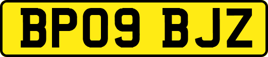 BP09BJZ