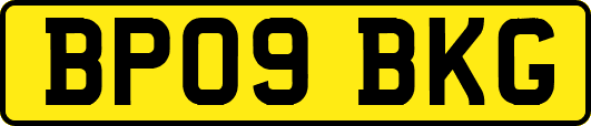BP09BKG