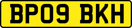 BP09BKH