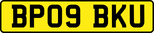 BP09BKU
