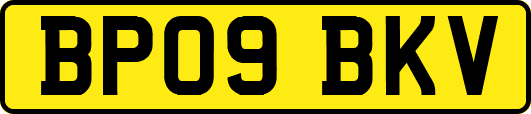 BP09BKV