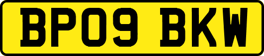 BP09BKW