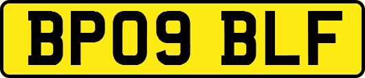 BP09BLF