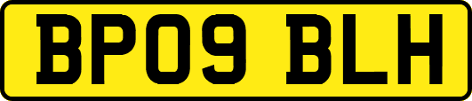 BP09BLH