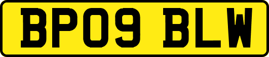 BP09BLW