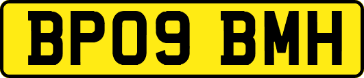 BP09BMH
