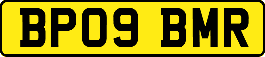 BP09BMR