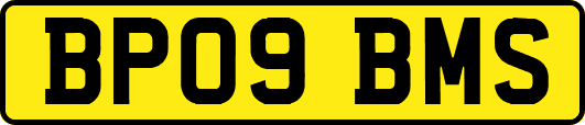 BP09BMS