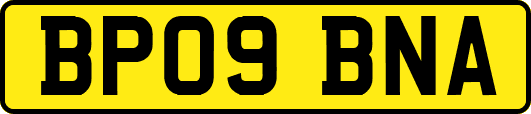 BP09BNA