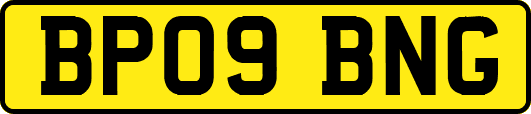 BP09BNG
