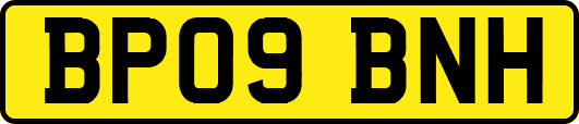BP09BNH