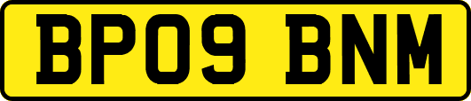 BP09BNM