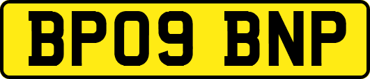 BP09BNP