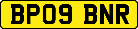 BP09BNR