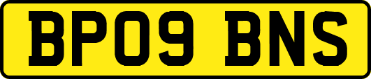 BP09BNS