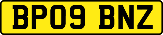 BP09BNZ