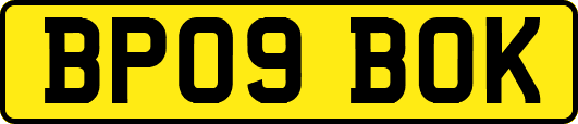 BP09BOK