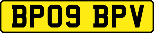 BP09BPV
