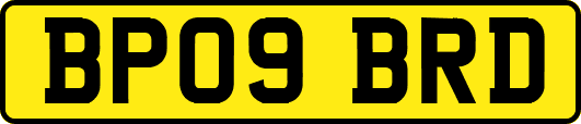 BP09BRD