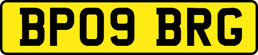 BP09BRG