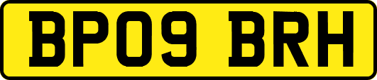 BP09BRH