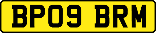 BP09BRM